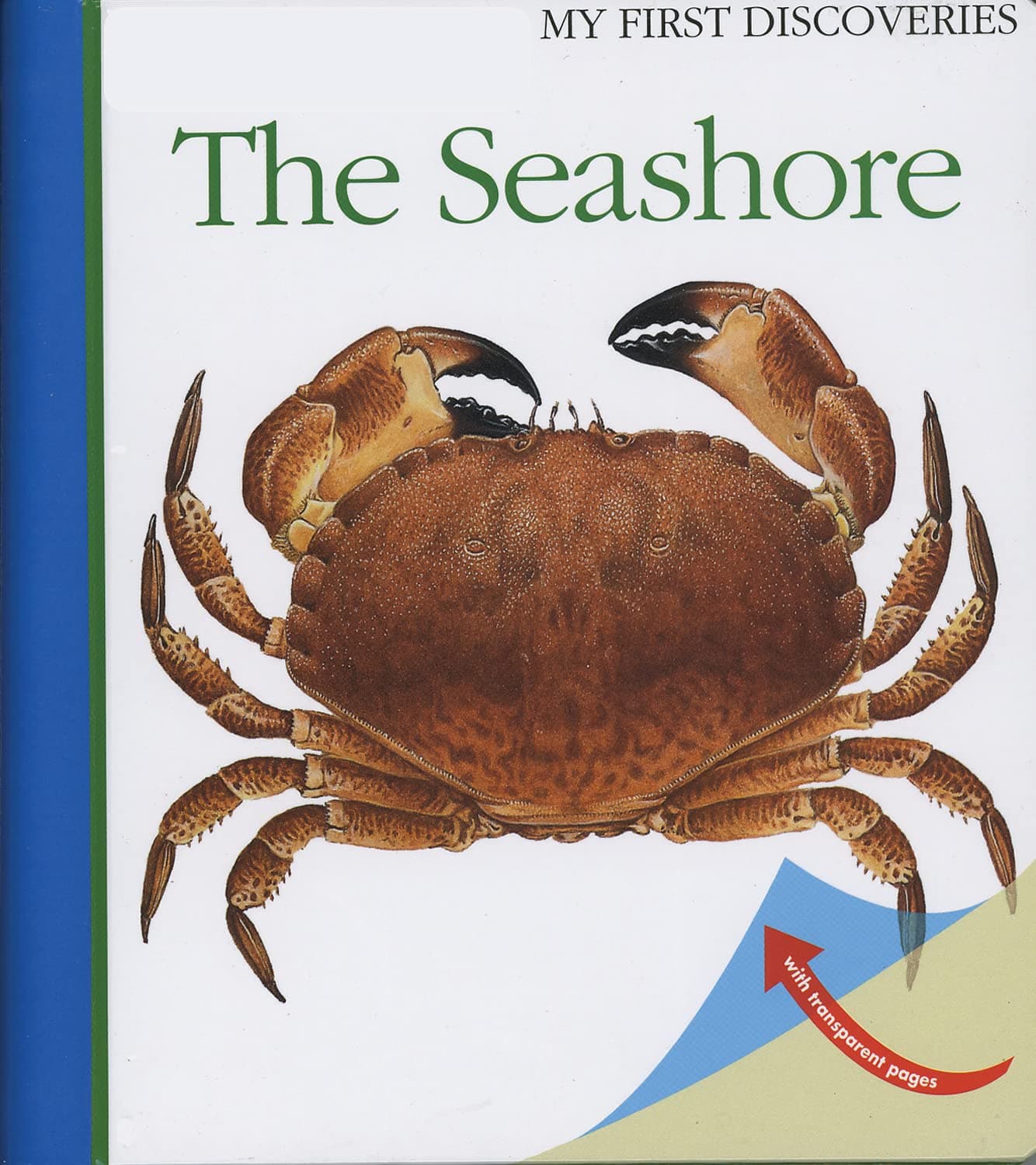 The Seashore (13) (My First Discoveries)