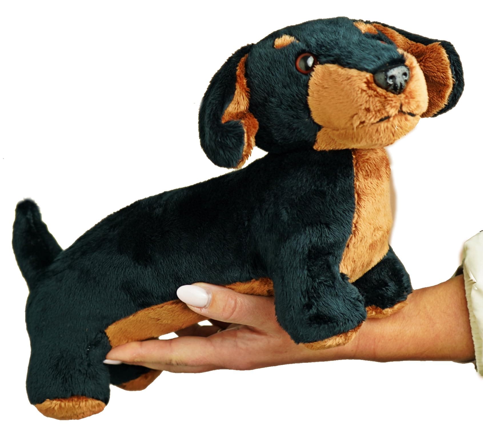 30cm Sausage Dog Teddy