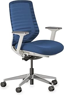 - Ergonomic Chair - A Versatile Desk Chair with Adjustable Lumbar Support, Breathable Mesh Backrest, and Smooth Wheels - Experience Optimal Comfort and Support - Baltic