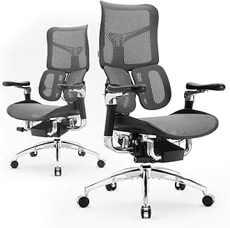 SIHOO Doro S300 Ergonomic Office Chair with Dual Dynamic Lumbar Support,Home Office Computer Chair, 6D Coordinated Armrests, Adjustable Rolling Chair (Black)