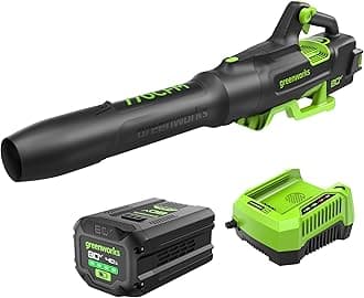 Greenworks 80V (770 CFM/190 MPH) Brushless Cordless Leaf Blower, Commercial-Grade Power for Autumn Leaf Composting, Spring Pollen Cleanup and Post-Snow Debris, Includes 4.0Ah Battery & Rapid Charger