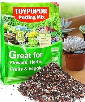 TOYPOPOR Succulent Soil, Cactus Potting Mix 12 Pounds/6QTS, High Drainage, Pre-Mixed Ready to Use for All Succulent Varieties, Indoor Plants, Bonsai, Terrarium, Houseplant, 70% Particles 30% Soil
