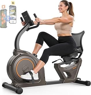niceday Indoor Recumbent Exercise Bike, Stationary Bike Workout Equipment for Home Gym 400LBS