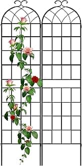- LZRS 2 Pack 83x20in Rustic Iron Arch Decoration Garden Trellis with Black Metal Coating – Perfect for Supporting Climbing Plants Outdoor, Roses, Vines, Flowers, and Vegetables.