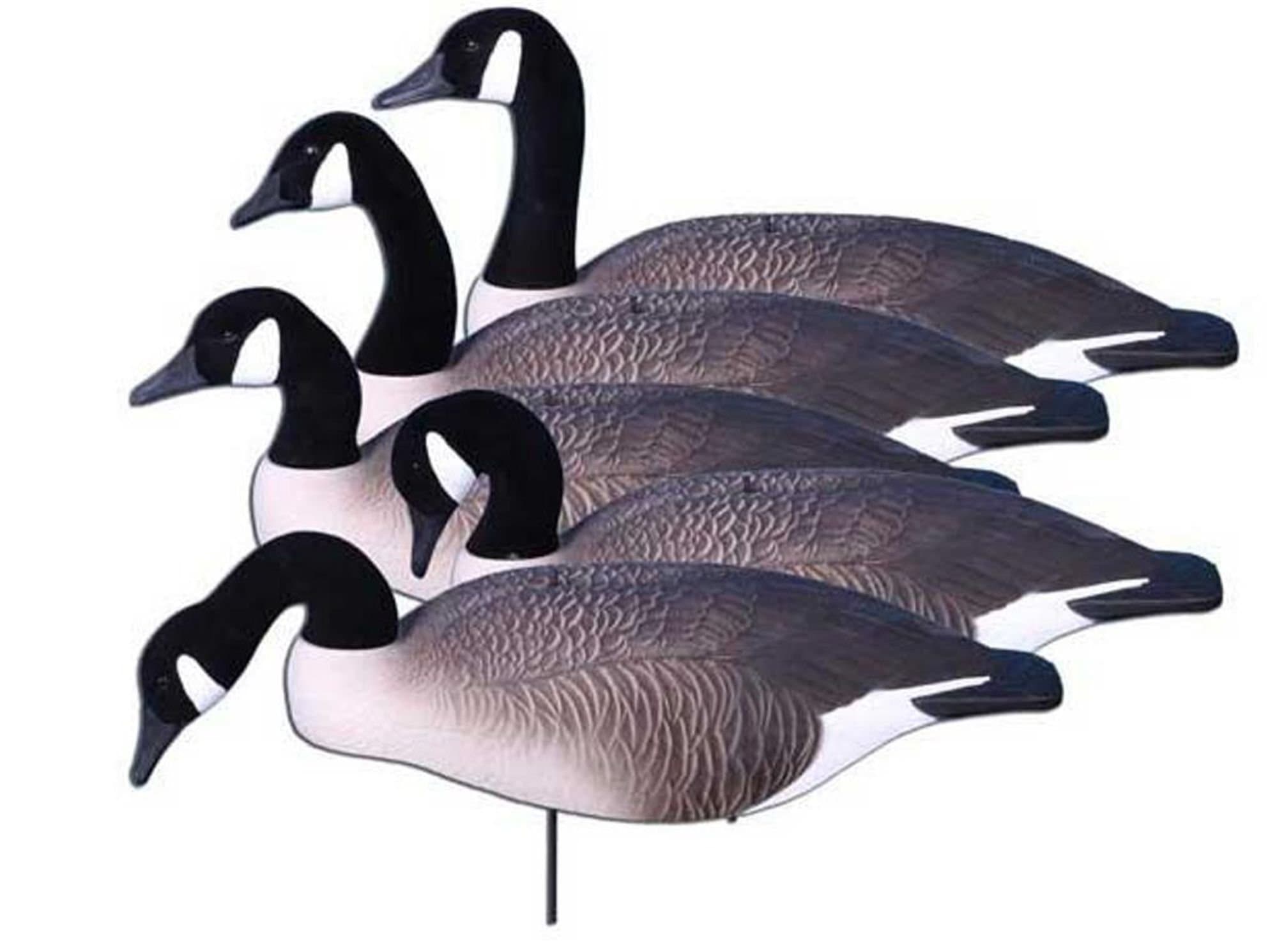 6 - Pk. Higdon Super Magnum Full - Form Shell Active Canada Goose Decoys