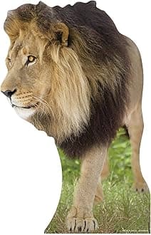 Star Cutouts Cut Out of Lion