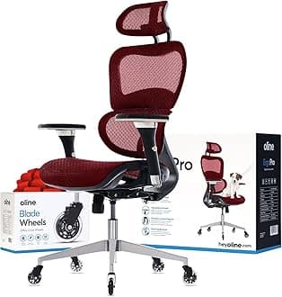 ErgoPro Ergonomic Office Chair with 4D Adjustable Armrest, 3D Lumbar Support and Blade Wheels - Mesh Computer Gaming Rolling Desk Executive Swivel Home Chair (Burgundy Red)