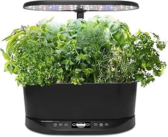 Bounty Basic - Indoor Garden with LED Grow Light, Black