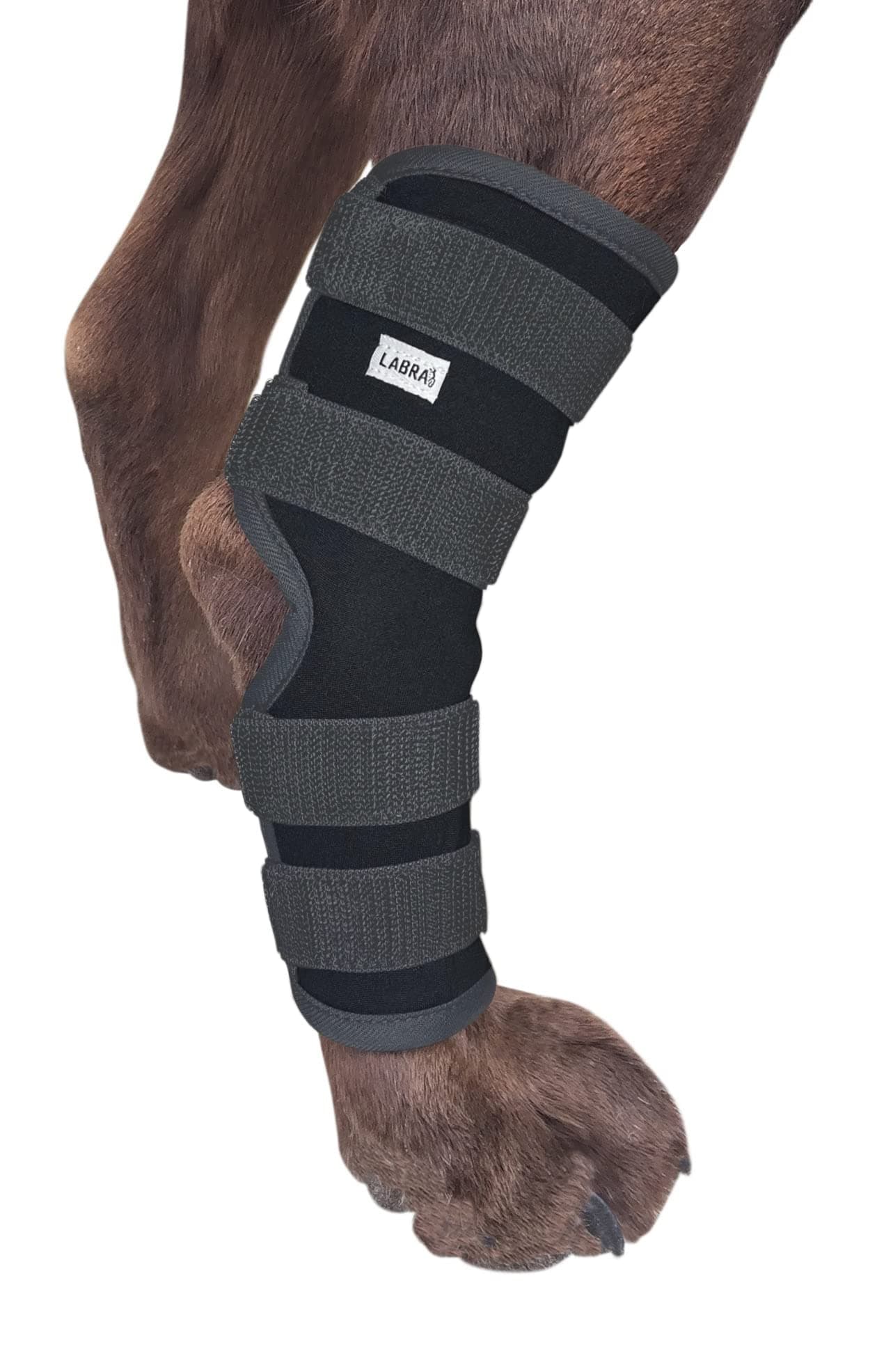 Labra Dog Rear Leg Hock Joint Compression Wrap - Supportive Brace for Weak Back Legs, ACL Tear, and Joint Discomfort - Adjustable Hind Leg Support for Senior Dogs - Small