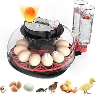 Incubators for Hatching Eggs Automatic Egg Incubator with Temperature Control Humidity Display 12 Egg Capacity for Chicken Duck Goose Eggs Digital Display Auto Turner 360° View