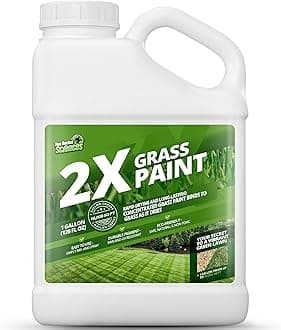 2X Green Grass Paint for Lawn, Ideal Turf Paint for Grass & Green Lawn Paint to Renew Discolored Lawns, Concentrated Grass Spray Paint, Green Grass Lawn Spray for Vibrant, Green Lawns, 1 Gallon
