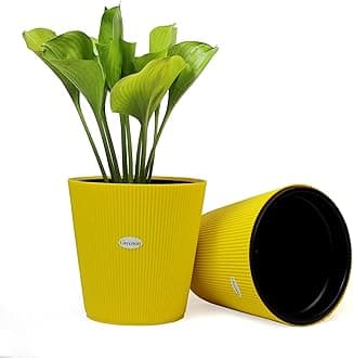 GREENON® 10 Inch Plant Pot Pack of 2 (4 Pots) Self Water | Yellow Outer and Black Inner Plant Container | UnFadable Planter | Virgin Plastic Gamla | Best for Indoor and Balcony