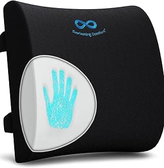 Everlasting Comfort Back Cushion