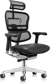 Eurotech Seating High Leather Seat/Mesh Back Swivel Chair, Black