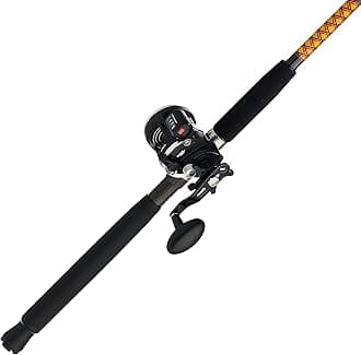 - Bigwater Casting Fishing Rod & Penn Rival Level Wind Conventional Reel Combo