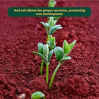 UGAOO Garden Red Soil for All Vegetables, Fruits, Flowers, Trees shrubs, and House Plants - 10 Kg