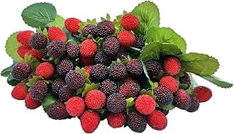 M2cbridge Artificial Raspberry Red Berry Strawberry Faux Fruit BlackBerry Props Table Decoration (Red with Black,8PCS)