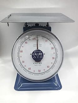 Camry Brand Dial Mechanical Scale SP-100 [100 Kg]