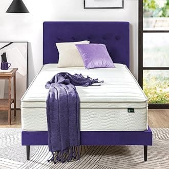 Zinus 12 Inch Euro Box Top Hybrid Green Tea Foam and Spring Mattress, Twin