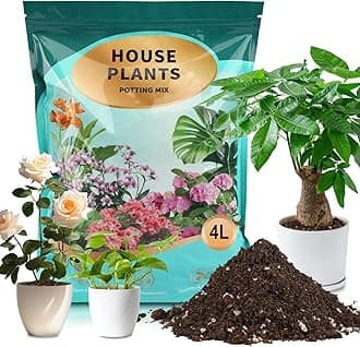 Potting Soil Mix 4qt for Indoor Plants, Organic Houseplant Soil Well Draining Dirt Ready to Use, Fit for House Plant Like Pothos, Philodendron, Monstera, African Violet