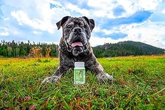 Dr. Judy Morgan's Naturally Healthy Pets New Zealand Deer Velvet Senior Formula for Dogs