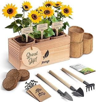 AVERGO Sunflower Seeds Growing Kit – Complete Seed and Plant Indoor & Outdoor Kit with Sunflower Seeds for Planting, Planter, Soil, Tools, Instructions – Ideal for Planting Sun Flowers at Home