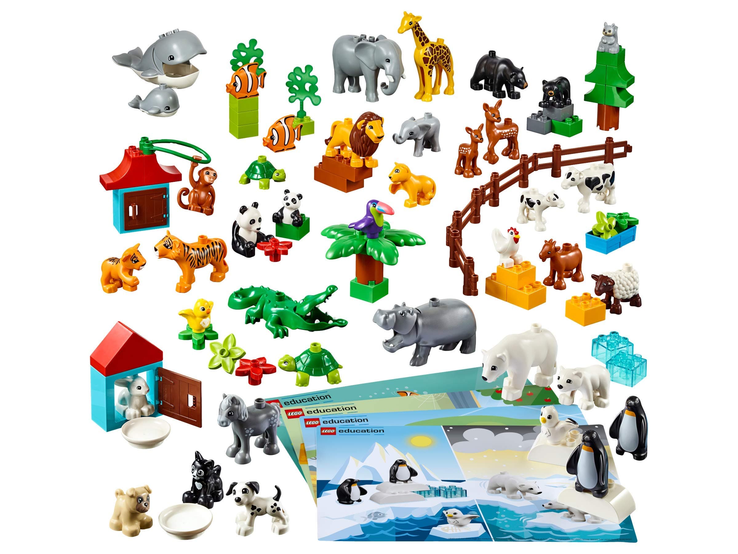 Education Animals 45029