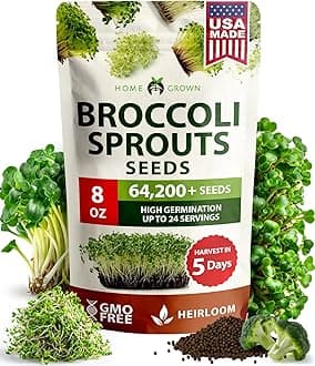 HOME GROWN Broccoli Seeds 8 oz Bulk Heirloom Non-GMO, High Germination, Sulforaphane Rich Sprouting Seeds, Nutritious Microgreens, Healthy Sprouts in 5 Days, Superfood Boost (Brassica oleracea)