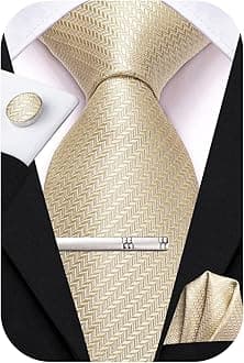 Hi-Tie Classic Mens Silk Ties Set 4 PCS Necktie Pocket Square Cufflinks Clip Pin Solid Strip Paisley Tie