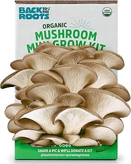 Back to the Roots Mini Farm Organic Mushroom.