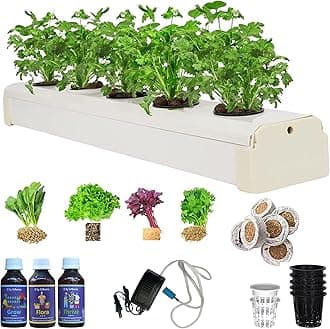 City Greens Hydroponic Kit for Home – 5-Plants DWC (Deep Water Culture) System for Beginners | Grow Any Indian or Exoctics Leafy Greens & Herbs Like Spinach, Coriander, Lettuce
