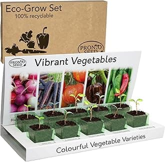pronto seedGrow Your Own Vegetable Garden Kit - 5 Easy-to-Grow Seed Varieties - Indoor & Outdoor Gardening Gift Set - Sustainable Non-GMO Kit for Beginners