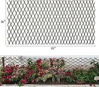 Expandable Garden Trellis Plant Support Willow Lattice Fence Panel for Climbing Plants Vine Ivy Rose Cucumbers Clematis 36X92 Inch… …