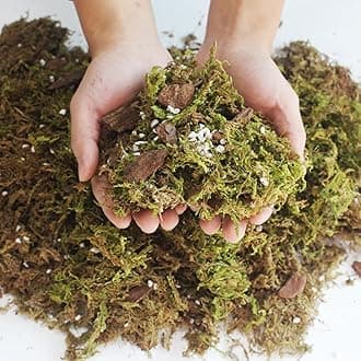 Orchid Potting Mix with Moss Pine Bark Mulch Perlite & Coco Peat Natural Ingredients, Orchid Repotting Soil Medium Great for Indoor Plant Root Climbing & Expanding