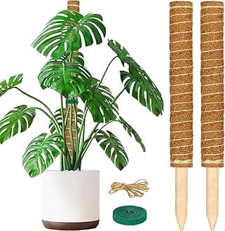 Moss Pole, 17 Inch Durable Indoor/Outdoor Plant Support Coco Coir Stakes, 2 Pack with Garden Ties for Monstera, Pothos, Climbing Plants