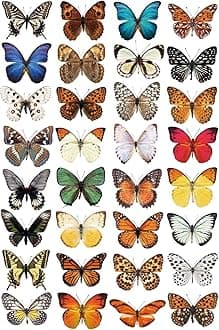 Stickers4-32 Beautiful Photorealistic Colourful Butterfly Static Cling Window Stickers - Non-Adhesive