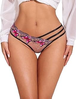 Sexy Panties for Women Butterfly Embroidered Underwear Mesh Panties Pack