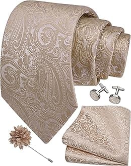 GUSLESON 3.15"（8cm） Mens Tie and Lapel Pin Paisley Necktie Hankerchief Cufflinks Set for Men