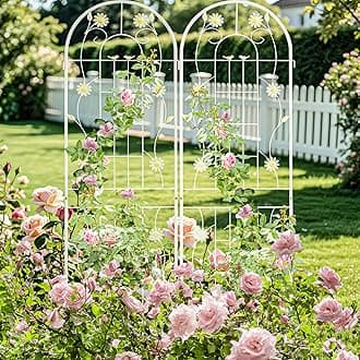 LZRS 2 Pack 71x20in Rustic Iron Arch Decoration Garden Trellis with Black Metal Coating – Perfect for Supporting Climbing Plants Outdoor, Roses, Vines, Flowers, and Vegetables.