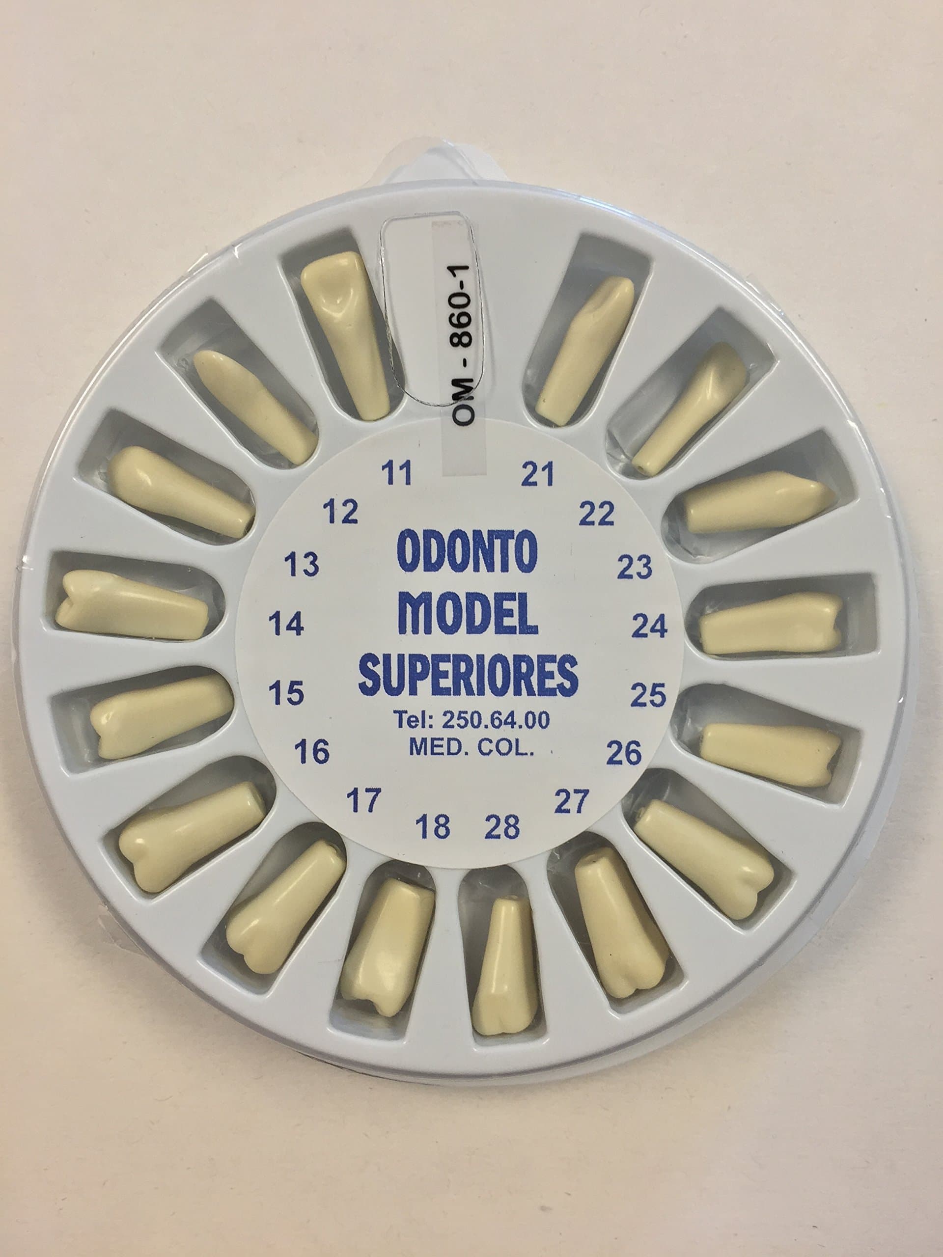 Typodont Dental Model 860 With Upper Lower Replacement Set Ivorine Teeth Complete Kit ARTMED