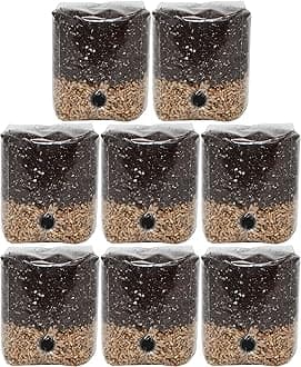 Mini All-in-One Mushroom Grow Bags (8-Pack)
