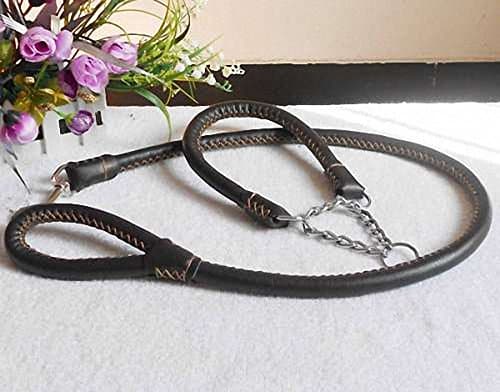 FourlegMate Handmade Leather Pet Sets: Braid Training Leash + Cushioning Martingale Collar