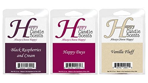 HCS Fruit Themed 3-Pack of Highly Scented 2.5 oz Wax Melts Black Raspberries and Cream, Happy Days and Vanilla Fluff