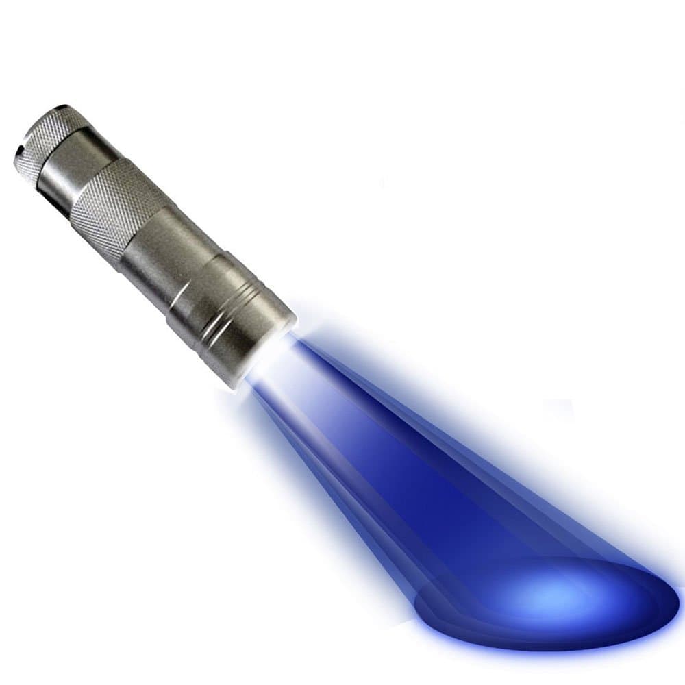 Brightest Black Light Flashlight on Amazon- UV Urine Detector - Ultra Bright Pet Stain Finder - 12 UV Blacklight LEDs in Shock-proof Aluminium Casing for Detecting Dry Pet Dog-Cat-Rodent Urine Stains on Carpet, Rugs, Curtains & Furniture Fabrics That are Otherwise Invisible to the Naked Human Eye Guaranteed - (3) AAA Alkaline Batteries Required - Divine LEDs