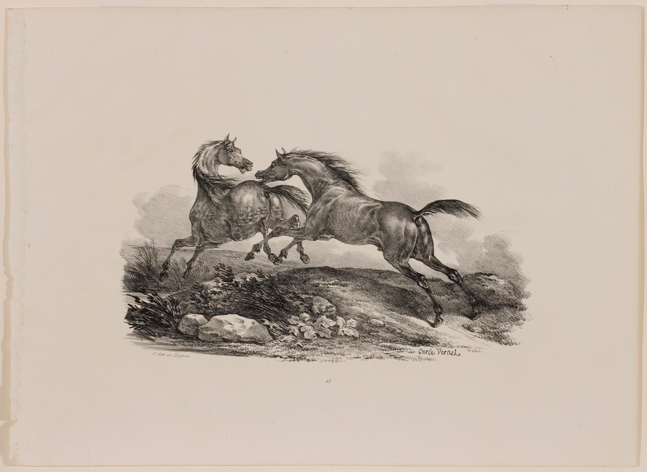 Horses Chasing